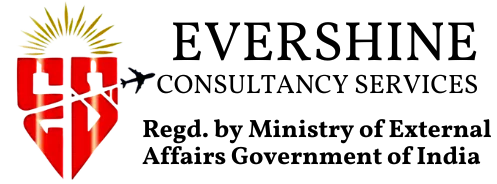 Evershine Placements Logo